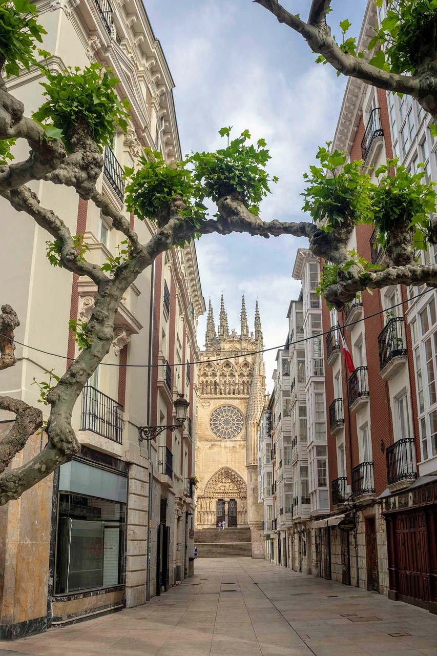cathedral town - Housity