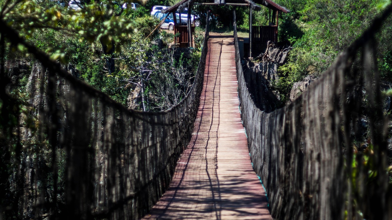 canopy walk - Housity